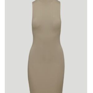 Aritzia Contour Mockneck Dress